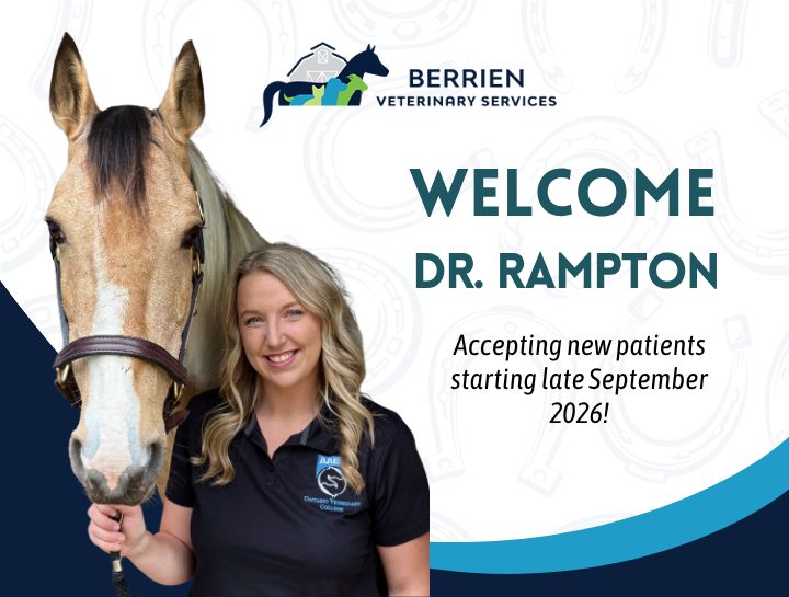 Welcome Dr. Abby Rampton to Berrien Veterinary Services