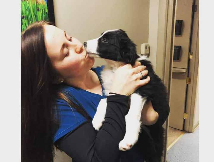 Preventive Care for Dogs