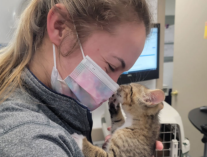 Puppy & Kitten Care