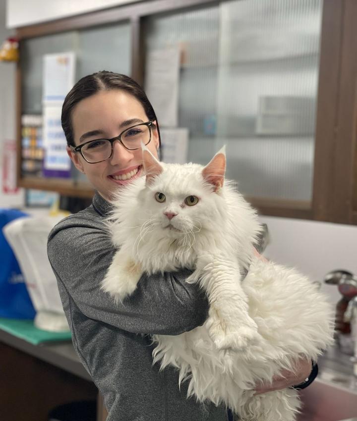 Experienced Veterinarians Animal Hospital in Baroda